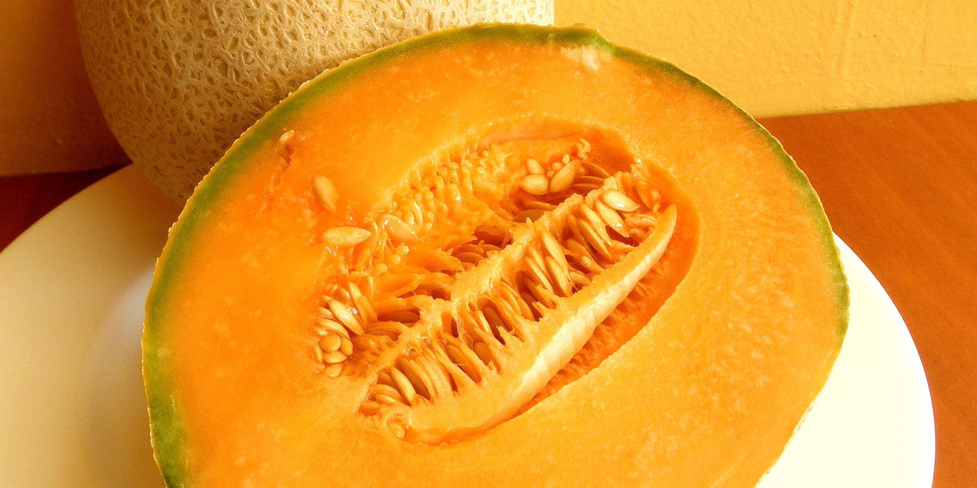 cantaloupe melon